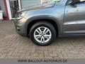 Volkswagen Tiguan Trend & Fun*1.HAND*KLIMA*AHK*TEMPO*EURO5* Grau - thumbnail 19
