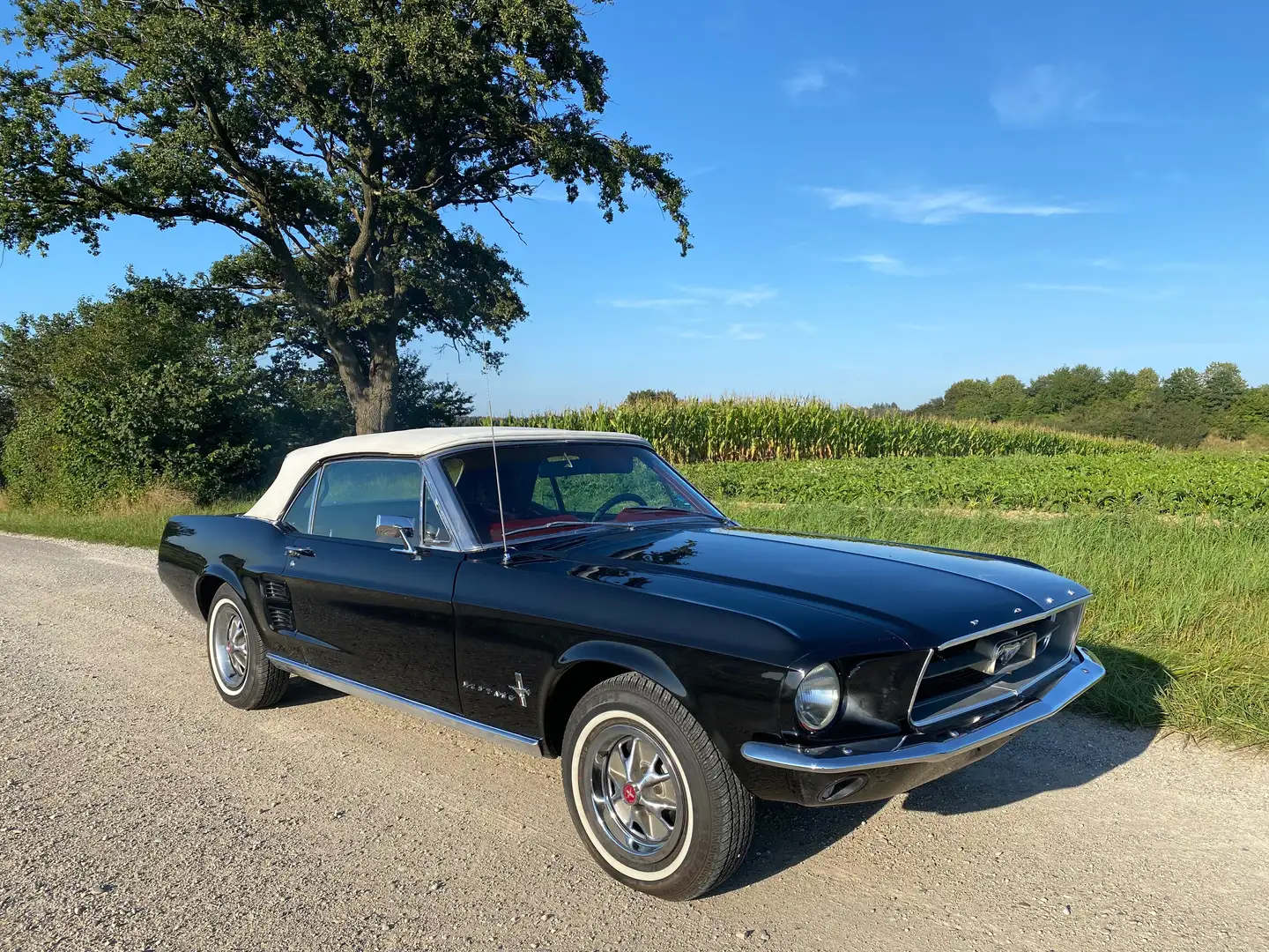Ford Mustang V8 Cabrio, Automatik, TÜV & H Negro - 2