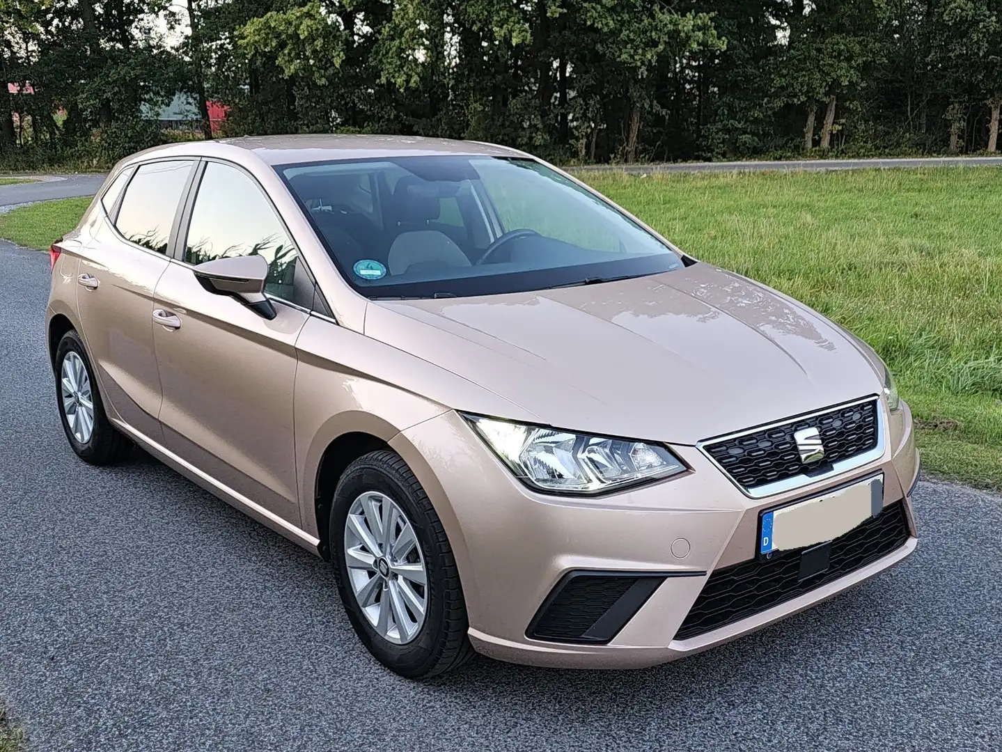 SEAT Ibiza Basis Violet - 2