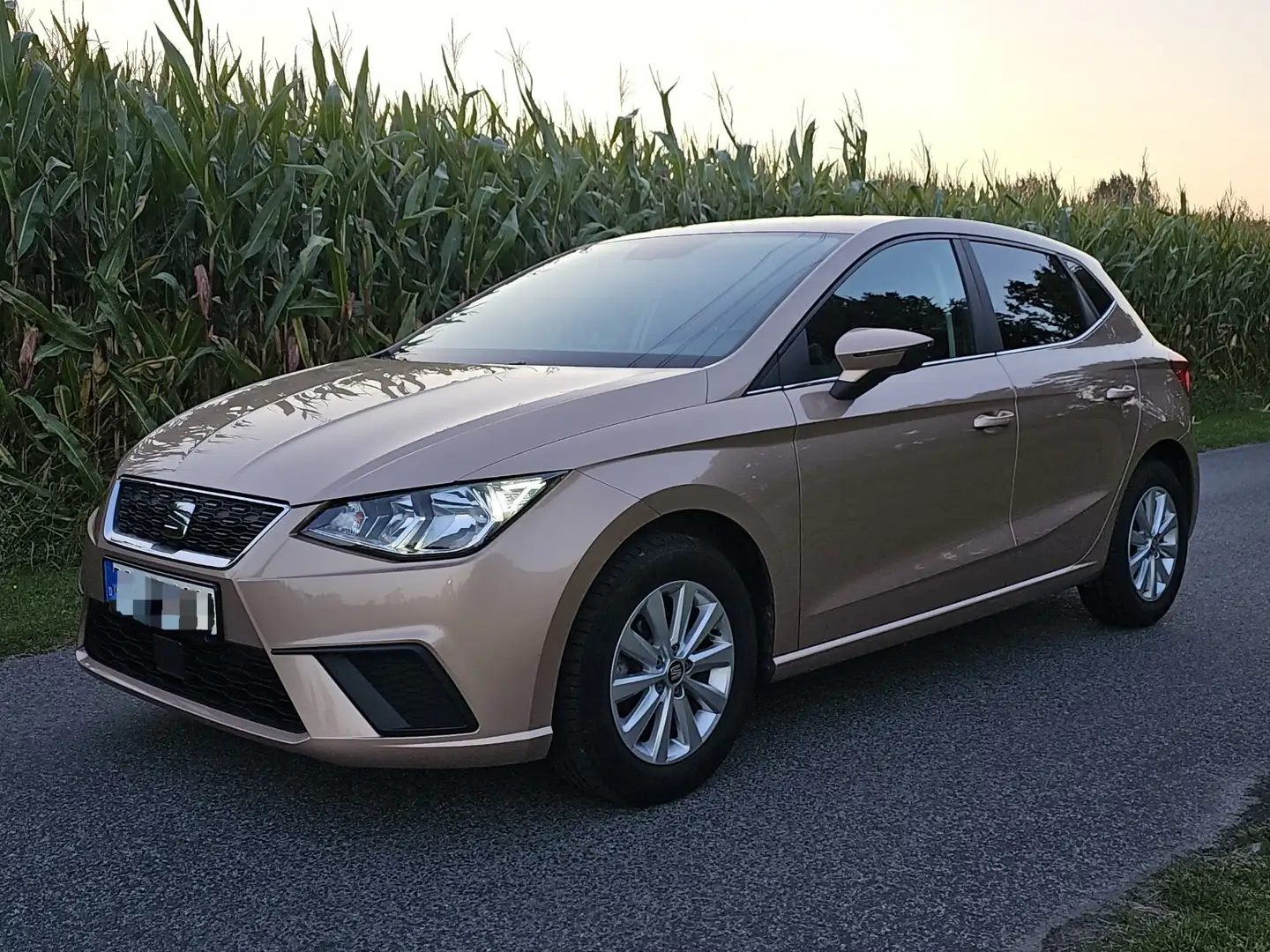 SEAT Ibiza Basis Violet - 1