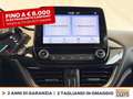 Ford Fiesta 5p 1.0 ecoboost h st-line 125cv Wit - thumbnail 24