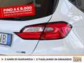 Ford Fiesta 5p 1.0 ecoboost h st-line 125cv Wit - thumbnail 17