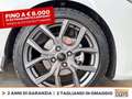 Ford Fiesta 5p 1.0 ecoboost h st-line 125cv Wit - thumbnail 15