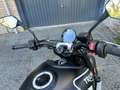 Triumph Trident 660 Trident 660 Zwart - thumbnail 9