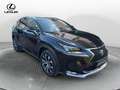 Lexus NX 300 LEXUS NX 300 Hybrid 4WD F-Sport Nero - thumbnail 8