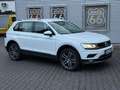 Volkswagen Tiguan Highline BMT. 4Motion,LED.19" Massage,Nav Weiß - thumbnail 1