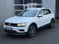 Volkswagen Tiguan Highline BMT. 4Motion,LED.19" Massage,Nav Weiß - thumbnail 5