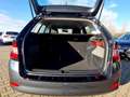 Skoda Fabia Combi 1.0 TSI Cool Plus Klima Sitzhzg. PDC Grau - thumbnail 16