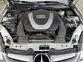 Mercedes-Benz SLK 350 V6 Roadster Automatik Leder Voll Top Gepflegt Top Grau - thumbnail 17