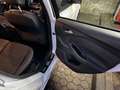 Ford Focus 2.0 TDCi DPF Start-Stopp-System ST-Line Blanco - thumbnail 12