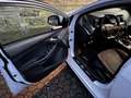 Ford Focus 2.0 TDCi DPF Start-Stopp-System ST-Line Blanco - thumbnail 18