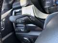 Ford Ranger DK Wildtrak 4x4 2.0 Aut. **ACC/Kamera** Schwarz - thumbnail 20