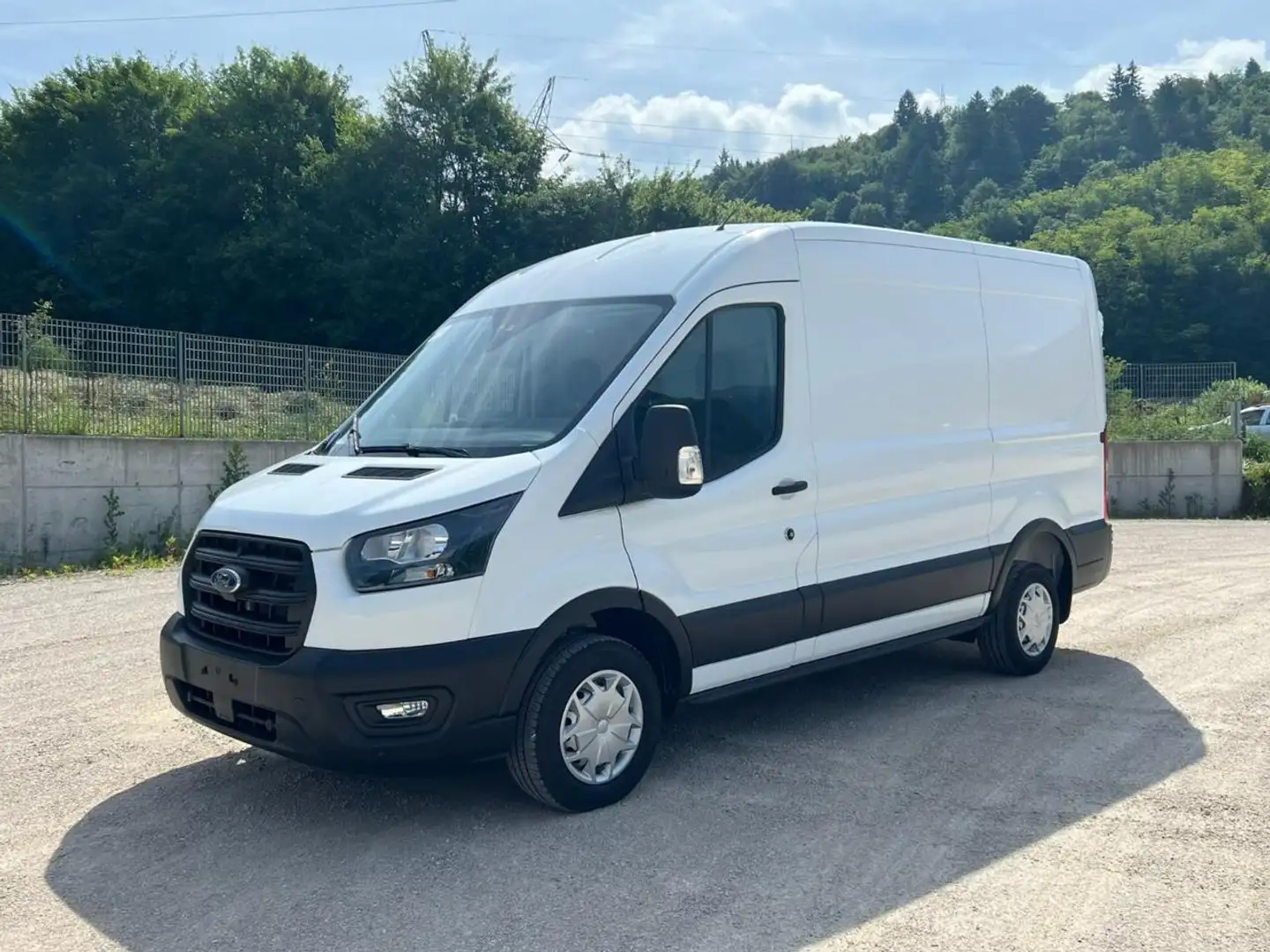 Ford Transit 310 2.0TDCi EcoBlue 130CV PM-TM Furgone Trend Bianco - 1