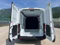 Ford Transit 310 2.0TDCi EcoBlue 130CV PM-TM Furgone Trend Bianco - thumbnail 15