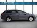 Volkswagen Golf Life 2.0 TDI Grau - thumbnail 3