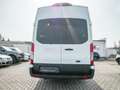 Ford Transit Bus Limited 18 Sitzer SHZ ACC STANDHZ Blanc - thumbnail 10