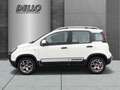 Fiat Panda City Cross Plus Mild Hybrid EU6d P Bianco - thumbnail 2