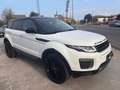 Land Rover Range Rover Evoque Range Rover Evoque I 2016 5p 2.0 td4 SE Dynamic Blanc - thumbnail 3
