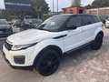 Land Rover Range Rover Evoque Range Rover Evoque I 2016 5p 2.0 td4 SE Dynamic Blanc - thumbnail 1