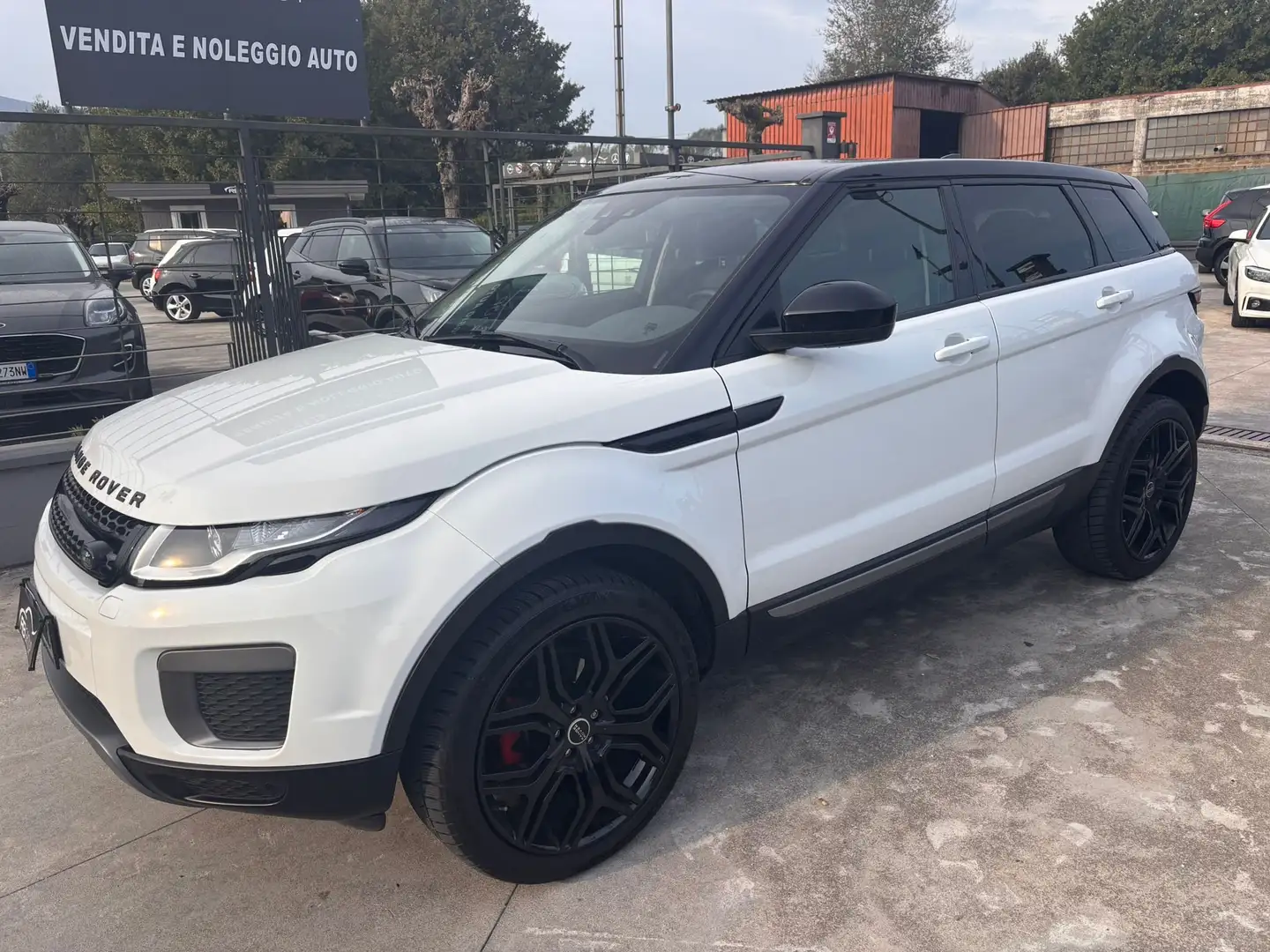 Land Rover Range Rover Evoque Range Rover Evoque I 2016 5p 2.0 td4 SE Dynamic Bianco - 1