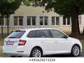 Skoda Fabia Combi Soleil 1 Hand/ACC/Kamera/Green tec Biały - thumbnail 6
