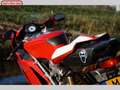 Ducati 749 MONO Rot - thumbnail 12