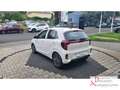 Kia Picanto Vision EU6e PE2 1.0 AMT mit Rückfahrkamera Alb - thumbnail 4