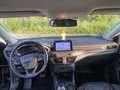 Ford Focus 1.5 EcoBoost Start-Stopp-System Aut. VIGNALE - thumbnail 7