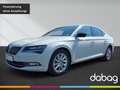 Skoda Superb 1.5 TSI ACT Style Wit - thumbnail 1