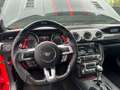 Ford Mustang Mustang Fastback 5.0 ti-vct V8 GT 421cv auto Rosso - thumbnail 5