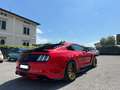 Ford Mustang Mustang Fastback 5.0 ti-vct V8 GT 421cv auto Rosso - thumbnail 10