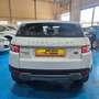 Land Rover Range Rover Evoque 2.2L TD4 Pure 4x4 Blanco - thumbnail 6