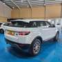 Land Rover Range Rover Evoque 2.2L TD4 Pure 4x4 Blanco - thumbnail 5
