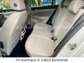 Volkswagen Golf VIII Lim. Life 2.0 TDI DSG |ACC|NAVI|SHZ| Weiß - thumbnail 11