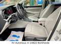 Volkswagen Golf VIII Lim. Life 2.0 TDI DSG |ACC|NAVI|SHZ| Weiß - thumbnail 12
