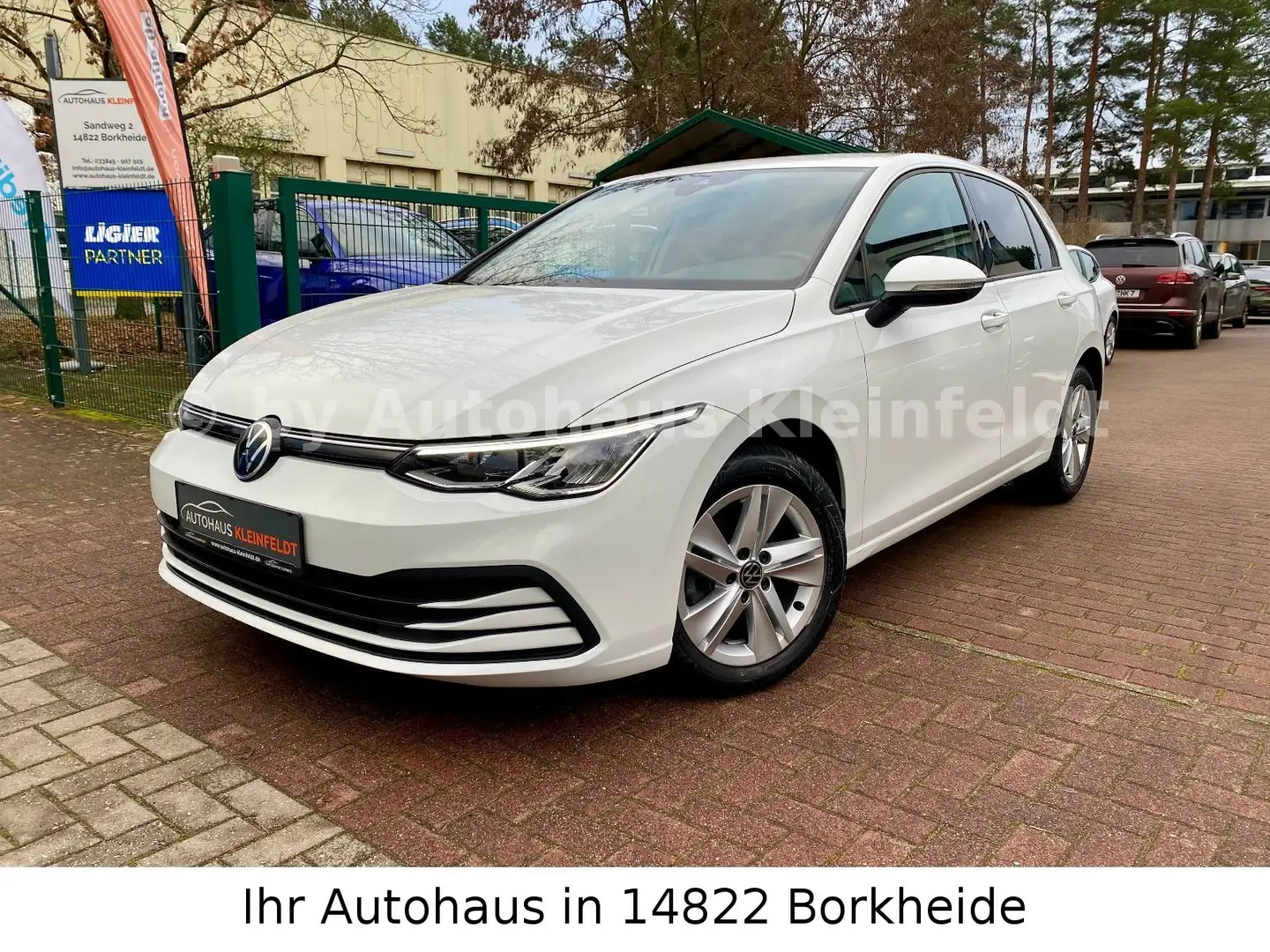 Volkswagen Golf VIII Lim. Life 2.0 TDI DSG |ACC|NAVI|SHZ| Weiß - 1