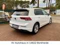 Volkswagen Golf VIII Lim. Life 2.0 TDI DSG |ACC|NAVI|SHZ| Weiß - thumbnail 4
