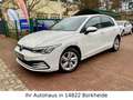 Volkswagen Golf VIII Lim. Life 2.0 TDI DSG |ACC|NAVI|SHZ| Weiß - thumbnail 2