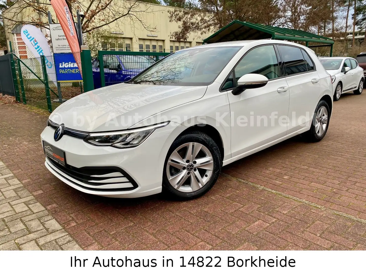 Volkswagen Golf VIII Lim. Life 2.0 TDI DSG |ACC|NAVI|SHZ| Weiß - 2