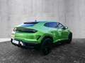 Lamborghini Urus SE Verde Selvans, Big Interior Carbon Pack Grün - thumbnail 3