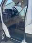 Ford Ford Transit Pritsche Doka2,0 EcoBlue L2H1350Trend Weiß - thumbnail 11