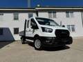 Ford Ford Transit Pritsche Doka2,0 EcoBlue L2H1350Trend Weiß - thumbnail 2