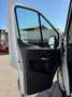 Ford Ford Transit Pritsche Doka2,0 EcoBlue L2H1350Trend Weiß - thumbnail 25