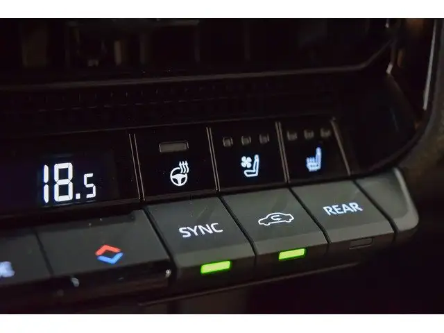 Toyota Land Cruiser view 17