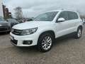 Volkswagen Tiguan Lounge Sport&Style BMT 1.4 TSI/NAVi/PANO/ Weiß - thumbnail 2