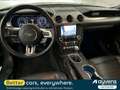 Ford Mustang GT Convertible 5,0 V8 Grün - thumbnail 5