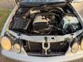 Mercedes-Benz CLK 200 Cabrio Elegance Gris - thumbnail 32