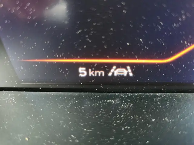 Seat Ibiza view 15