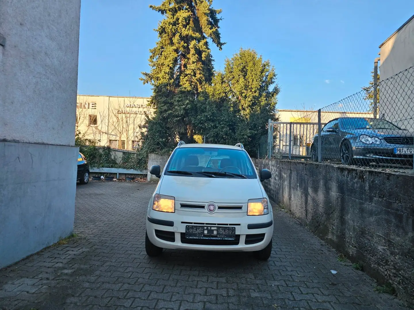 Fiat Panda 1.4 8V Natural Power,Klima,CD,El.Fenster Weiß - 1