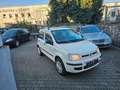 Fiat Panda 1.4 8V Natural Power,Klima,CD,El.Fenster Weiß - thumbnail 7